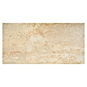 Feinsteinzeugfliese Jade Stone (30 x 60 cm, Beige, Glasiert)