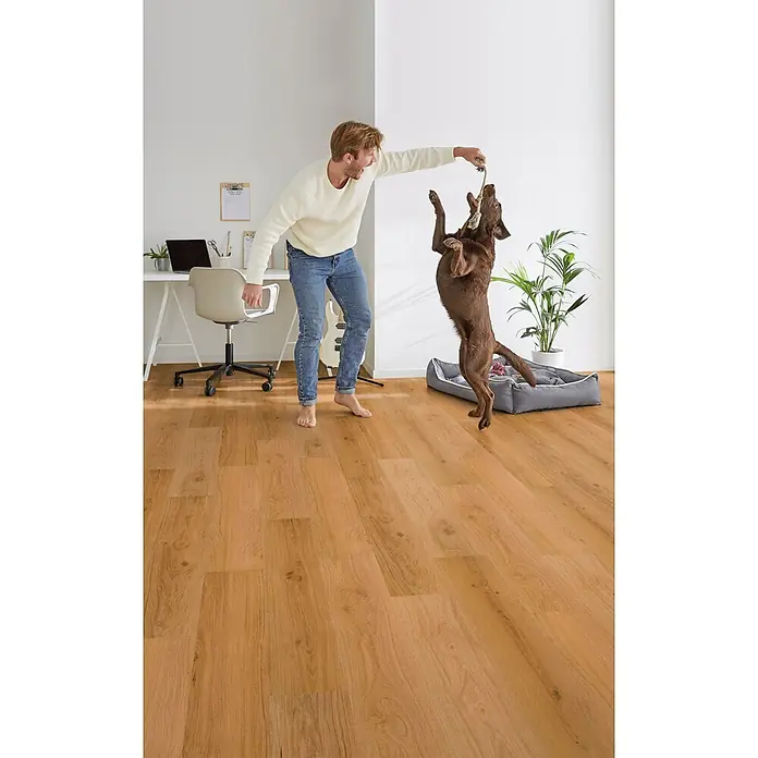 Decolife Designboden Freestyle - Oak Country Gold, Landhausdiele, 1.220 x 185 x 8 mm - Heller Holzfußboden in einem Zuhause, auf dem ein Mann und sein Hund spielen.