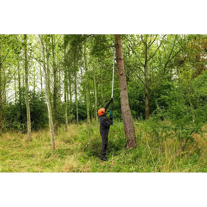 Bosch Professional Teleskop-Astschere GGP18V-45EP - Max. Aststärke: 45 mm - Person in orangefarbenem Schutzhelm benutzt eine blaue und silberne Hochentaster, um einen Ast im Wald zu trimmen.