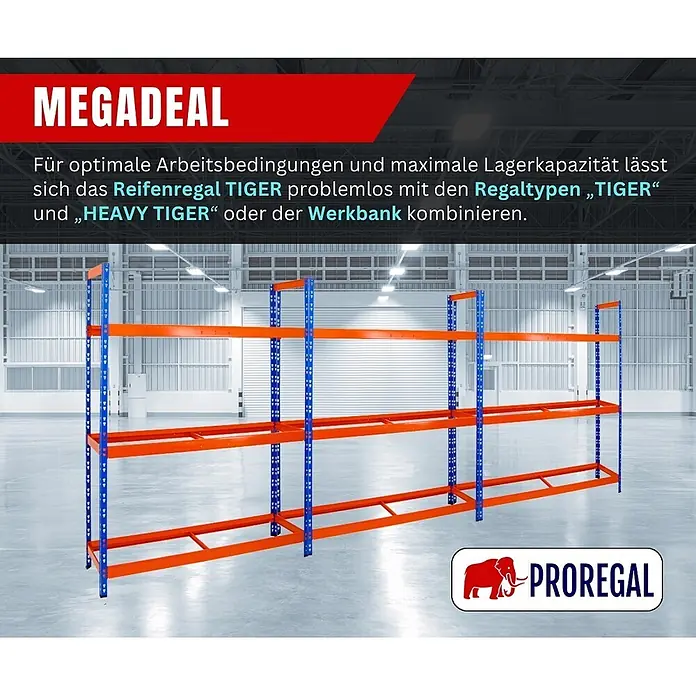 Proregal Reifenregal Tiger XL - Stecken, Blau-Orange - Ein langes blau-orangefarbenes Metall-Reifenregal in einem Lager. Es bietet mehrere Ebenen für optimale Lagerkapazität.