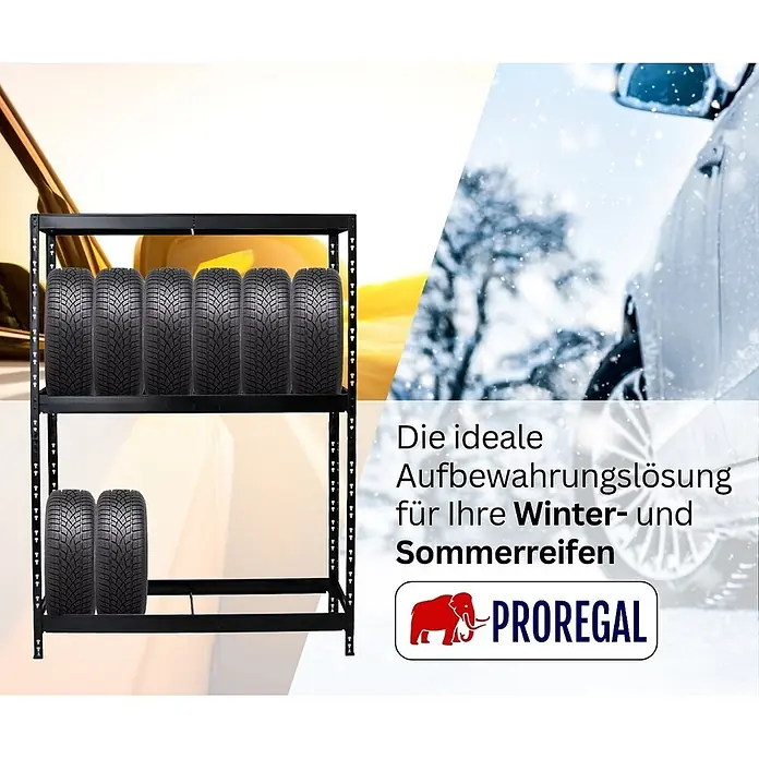 Proregal Reifenregal Tiger mit Fachboden - Stecken, Schwarz - Schwarzes Metallregal mit zwei Ebenen zur Lagerung von Winter- und Sommerreifen. Hintergrund zeigt Öl und ein verschneites Auto.