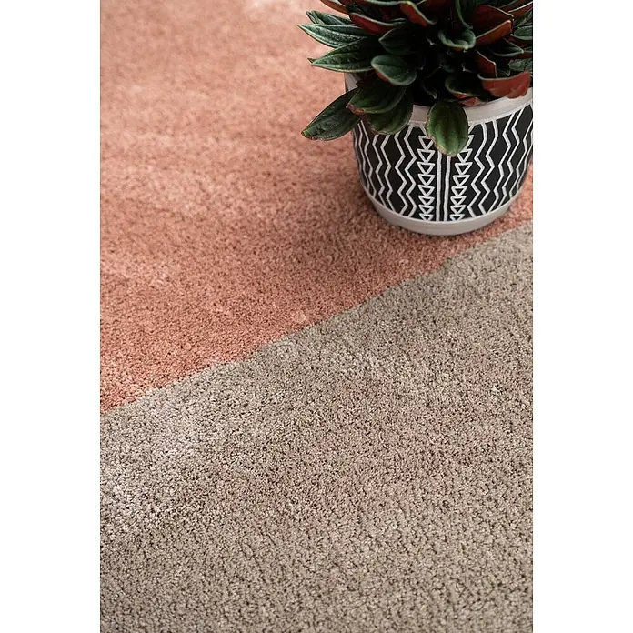 Bricoflor Teppichfliese - Breite: 50 cm, Velours, pink - Zweifarbiger Strukturteppich mit diagonalen Farbblöcken in Pfirsich und Beige, mit Topfpflanze arrangiert.