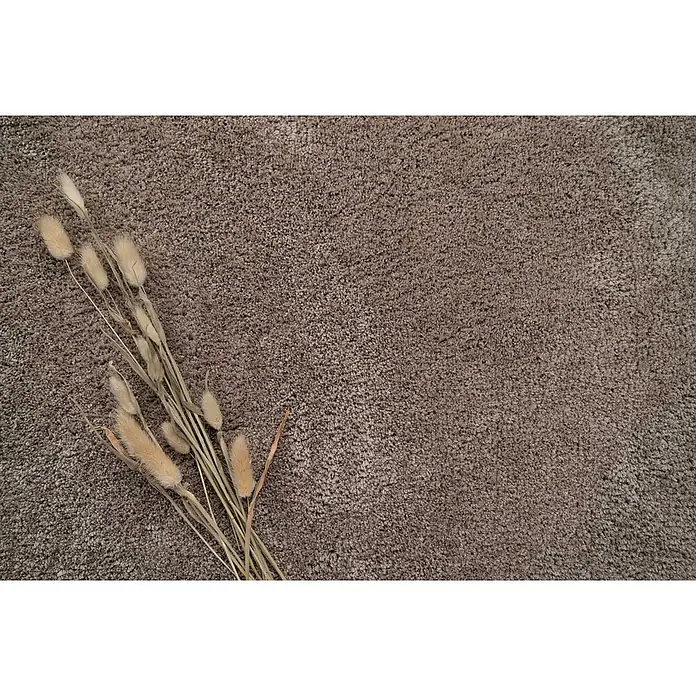Bricoflor Teppichfliese - Breite: 50 cm, Velours, braun|grau - Getrocknetes Hasenschwanzgras mit flauschigen beigen Köpfen, auf braunem Hochflorteppich arrangiert.