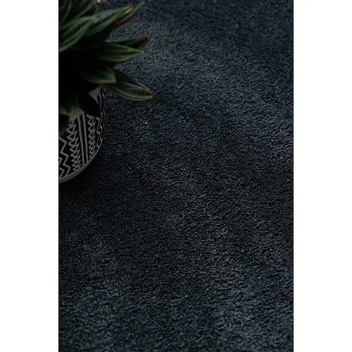 Bricoflor Teppichfliese - Breite: 50 cm, Velours, grau - Dunkelgrauer, tief strukturierter Teppich mit weichem Flor, mit einer Topfpflanze als Kontext.