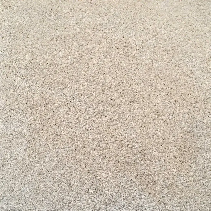 Bricoflor Teppichfliese - Breite: 50 cm, Velours, weiß - Nahaufnahme eines weichen, hellbeigen Teppichs mit zotteliger Textur.