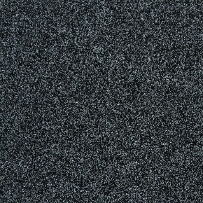 Bricoflor Teppichfliese - Breite: 50 cm, Nadelfilz, Polypropylen, grau - Dunkelgraues, strukturiertes Schlingenflor-Teppich- oder Mattenmaterial.