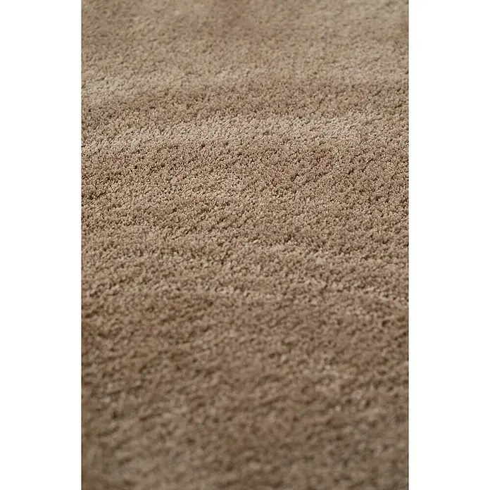 Bricoflor Teppichfliese - Breite: 50 cm, Velours, grau - Nahaufnahme eines weichen, hellbraunen, langflorigen Teppichs.