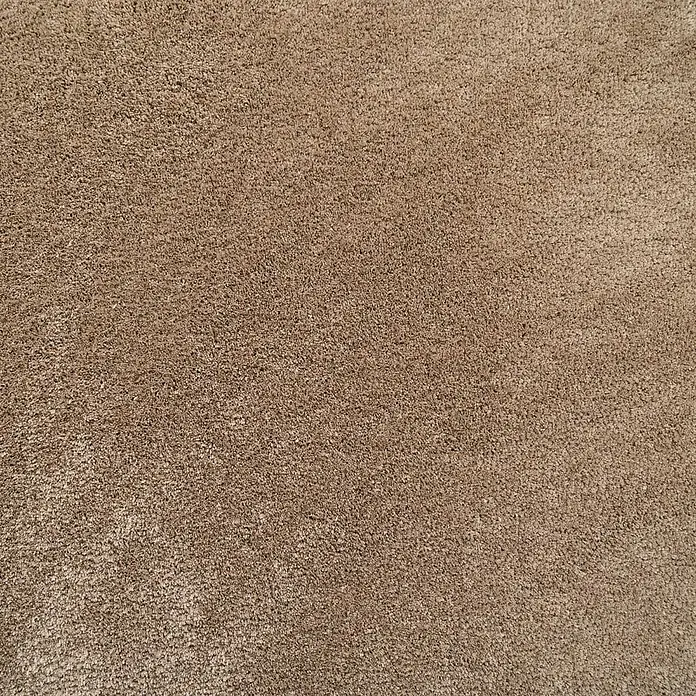 Bricoflor Teppichfliese - Breite: 50 cm, Velours, grau - Beiger strukturierter Teppich.