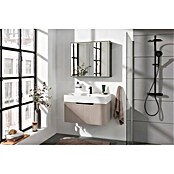 Camargue LED-Spiegelschrank Alumea (B x H: 80 x 68 cm, Anthrazit) | BAUHAUS