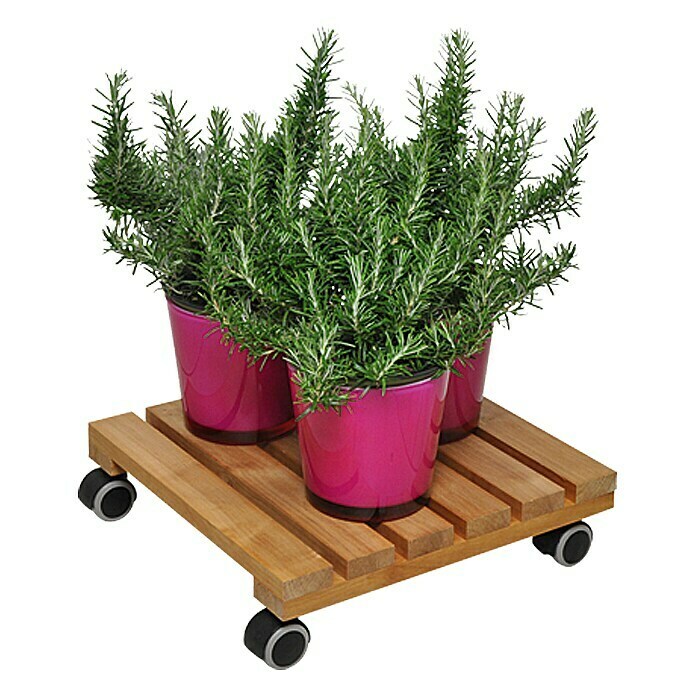 Gardol Plantenroller Classic Soft (Vierkant, Elzenhout, Max. belasting: 100 kg)