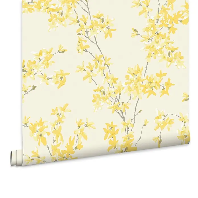 Laura Ashley Vliestapete Forstyhia Blumen - Gelb, Floral, 1.000 x 52 cm - Gerollte Tapete mit zartem Muster aus gelben Blüten auf Ästen vor cremefarbenem Hintergrund.