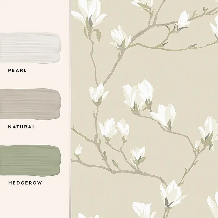 Laura Ashley Vliestapete Magnolienhain - Beige/Weiß, Floral, 1.000 x 52 cm - Tapete mit weißen Magnolien auf Beige, dazu Farbmuster: Off-White 'Pearl', Taupe 'Natural', Salbeigrün 'Hedgerow'.