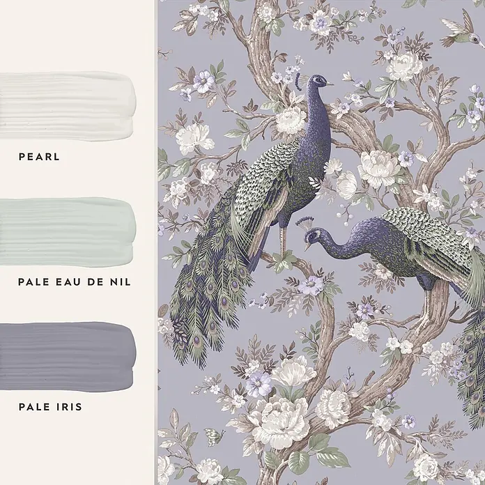 Laura Ashley Vliestapete Vliestapete Belvedere Pfau - Lila, Floral, 10 x 0,52 m - Drei Farbmuster (weiß, hellgrün, helllila) mit passender Tapete: Pfauen auf einem blühenden Baum.