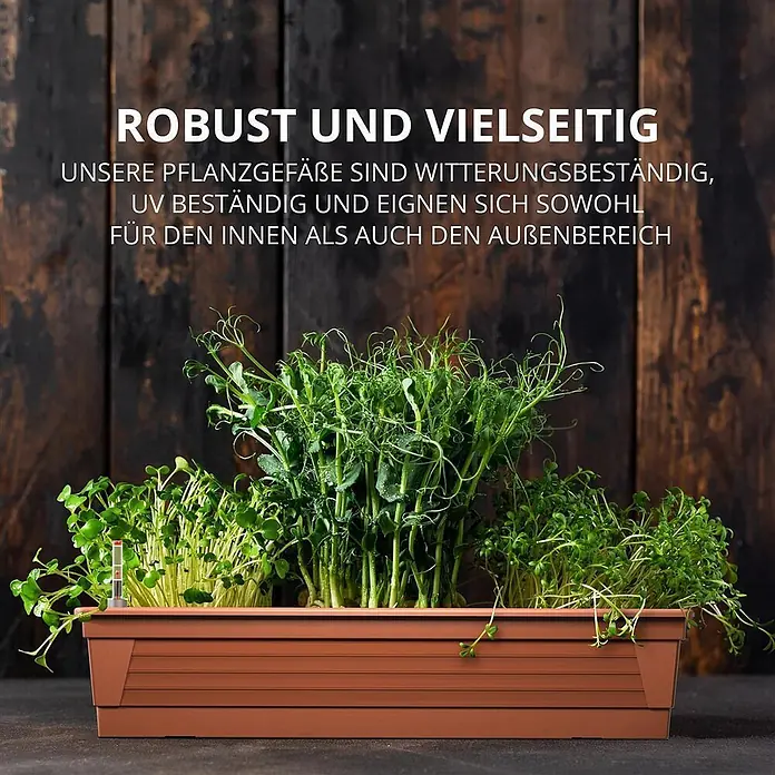 Plastard Pflanzkasten Milano 3er Set mit Hydroeinsatz & Wasserstandsanzeiger Terrakotta - Außenmaß (L x B x H): 60 x 21 x 17 cm, Kunststoff, Terrakotta - Brauner rechteckiger Pflanzkasten, gefüllt mit frischen grünen Microgreens. Witterungs- und UV-beständig, für drinnen und draußen geeignet.