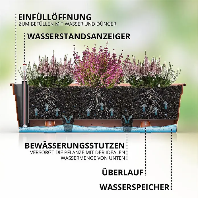 Plastard Pflanzkasten Milano 3er Set mit Hydroeinsatz & Wasserstandsanzeiger Terrakotta - Außenmaß (L x B x H): 60 x 21 x 17 cm, Kunststoff, Terrakotta - Brauner Kunststoff-Blumenkasten mit Bewässerungssystem; Querschnitt zeigt Wasserspeicher, Einfüllöffnung und Wasserstandsanzeiger.