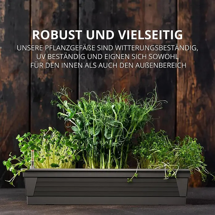 Plastard Pflanzkasten Milano 3er Set mit Hydroeinsatz & Wasserstandsanzeiger Anthrazit - Außenmaß (L x B x H): 60 x 21 x 17 cm, Kunststoff, Anthrazit - Dunkelgrauer, selbstbewässernder Pflanzkasten mit grünen Mikrogrünpflanzen und Feuchtigkeitsanzeige.