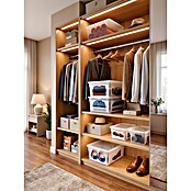 BAUHAUS Caja de almacenaje Light Box (L x An x Al: 39,6 x 57,8 x 18,5 cm, Plástico, Transparente, 36 l) | BAUHAUS