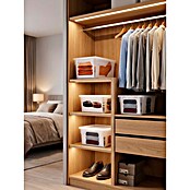BAUHAUS Caja de almacenaje Light Box (L x An x Al: 39,6 x 57,8 x 18,5 cm, Plástico, Transparente, 36 l) | BAUHAUS