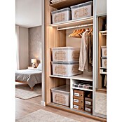 BAUHAUS Caja de almacenaje Light Box (L x An x Al: 39,6 x 57,8 x 18,5 cm, Plástico, Transparente, 36 l) | BAUHAUS