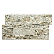 Verblendstein Andes Jet (33,3 x 66,6 cm, Sage, Steinoptik)