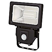Profi Depot Proyector LED con sensor (1 luz, Potencia máx.: 20 W, IP44, Color de luz: Blanco neutro, Ángulo de detección sensor: 100°)