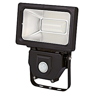 Profi Depot Proyector LED con sensor (30 W, L x An x Al: 193 x 122 x 51 mm, Negro, Blanco neutro)