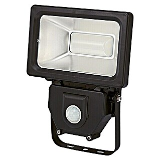Profi Depot Proyector LED con sensor (1 luz, Potencia máx.: 30 W, IP44, Color de luz: Blanco neutro, Ángulo de detección sensor: 100 °)