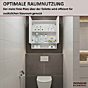 Fackelmann Hängeschrank (B x T x H: 600 x 154 x 718 mm, Farbe Front: Spiegel) | BAUHAUS
