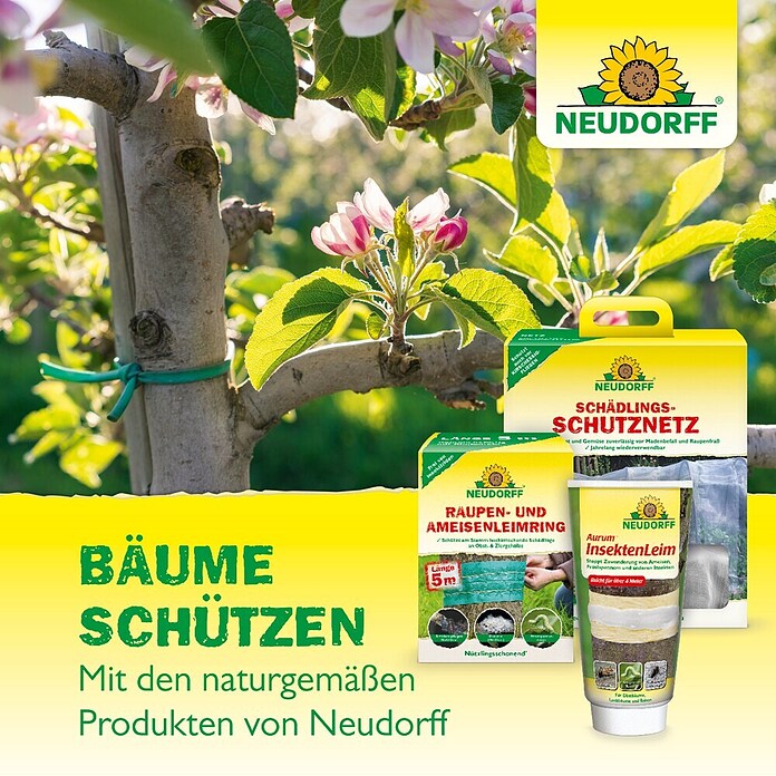 Neudorff