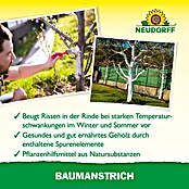 Neudorff