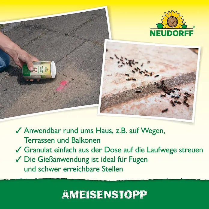 Neudorff Ameisen-Mittel AmeisenStopp - 300 g - Eine Person streut Neudorff Ameisenstopp Granulat aus einer Dose auf einen gepflasterten Weg, wo Ameisen aktiv sind, zur effektiven Schädlingsbekämpfung.