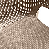 Keter Silla de jardín Elisa (Polipropileno, Cappuccino, An x Pr x Al: 53 x 62 x 78,4 cm) | BAUHAUS
