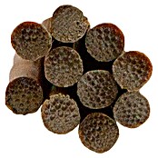 Gardol Splittstab (Natur, 50 cm, 10 Stk.)