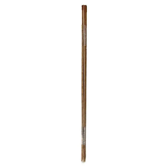 Gardol Splittstab - L x S: 50 x 0,15 cm, Natur, 10 Stk. - Ein Bündel langer, schlanker, hellbrauner Klettenwurzeln, zusammengebunden.