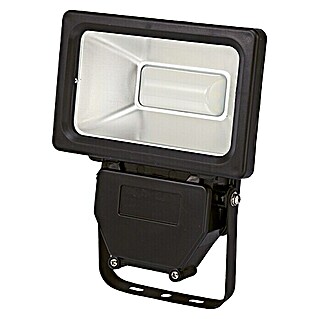 Profi Depot Proyector LED (1 luz, Potencia máx.: 20 W, Color de luz: Blanco neutro, Negro)