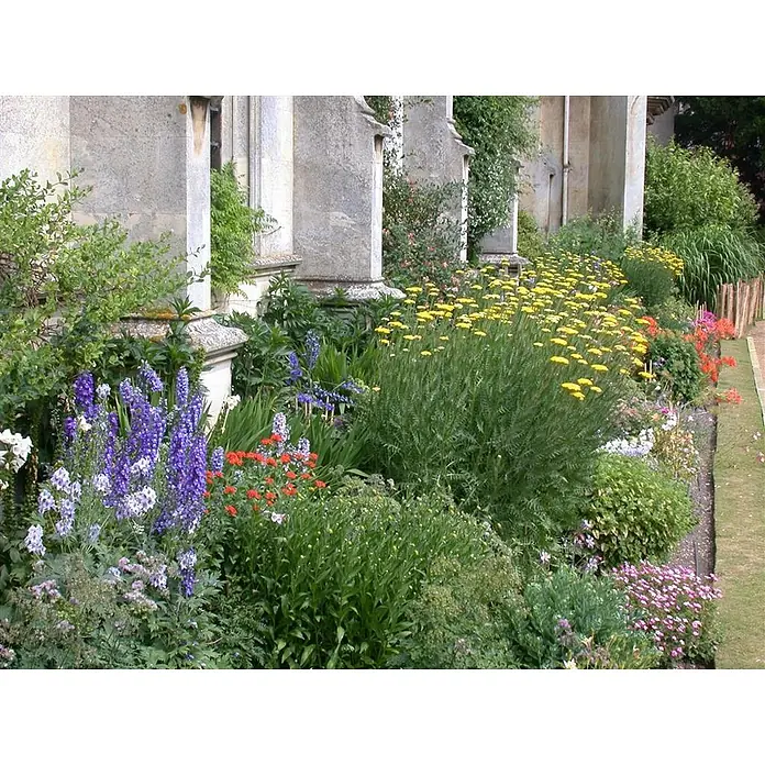 Piardino Stauden-Mix Sommer - Diverse Sorten, Topfgröße: 19 cm - Ein lebendiges Blumenbeet mit bunten Blumen und üppigen grünen Pflanzen vor der Steinfassade eines alten Gebäudes.