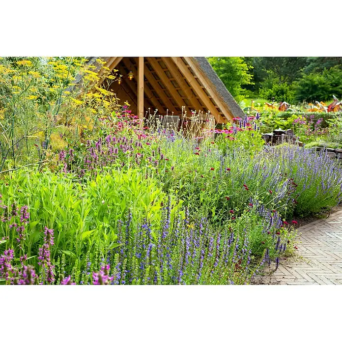 Piardino Stauden-Mix Sommer - Diverse Sorten, Topfgröße: 19 cm - Lebhafter Garten mit lila, rosa und gelben Blüten, einem Ziegelweg und einer rustikalen Holzhütte mit Strohdach im Hintergrund.