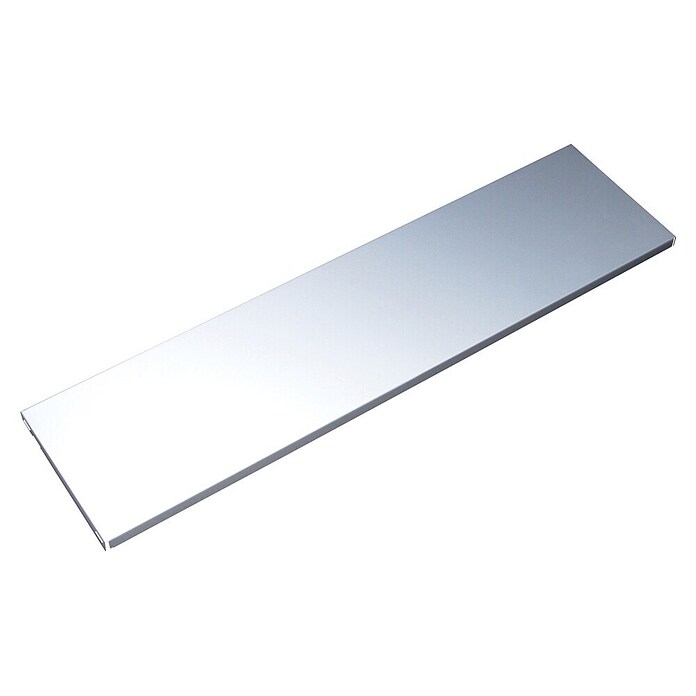 Element System Stahlfachboden (L x B: 80 x 25 cm, Traglast Einlegeboden: 30 kg, Weiß/Aluminium) | BAUHAUS