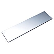Element System Stahlfachboden (L x B: 80 x 25 cm, Traglast Einlegeboden: 30 kg, Weiß/Aluminium) | BAUHAUS