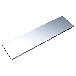 Element System Stahlfachboden (L x B: 80 x 25 cm, Traglast Einlegeboden: 30 kg, Weiß/Aluminium)