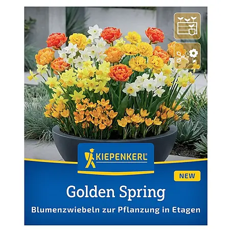 Kiepenkerl Profi-Line Blumenmischung Golden Spring