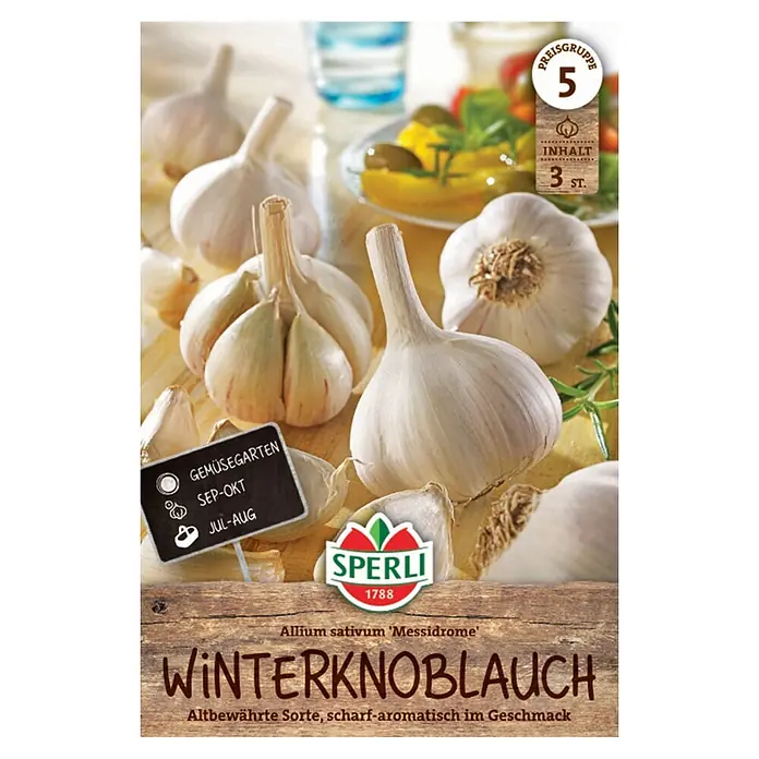 Sperli Knoblauch Messidrome - Allium sativum 'Messidrome' - Drei weiße 'Messidrome' Winterknoblauchzwiebeln und einzelne Zehen auf einer Holzfläche mit Produktetiketten.
