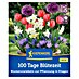 Kiepenkerl Blumenmischung 100 Tage Blütezeit 