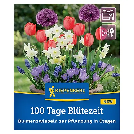Kiepenkerl Profi-Line Blumenmischung 100 Tage Blütezeit