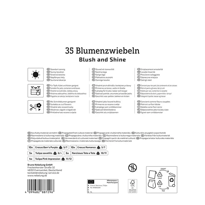 Kiepenkerl Profi-Line Blumenmischung Blush & Shine - Crocus Barr's Purple, Crocus Romance, Tulipa saxatilis, Narcissus Tete a Tete, Tulipa Pink Impression, Topfgröße: 25 cm - Verpackung für Blumenzwiebeln 'Blush and Shine' mit 35 Zwiebeln, darunter Krokusse, Tulpen und Narzissen, sowie Pflanz- und Pflegehinweisen.