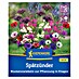 Kiepenkerl Profi-Line Sommerblumenzwiebel-Mix Spätzünder