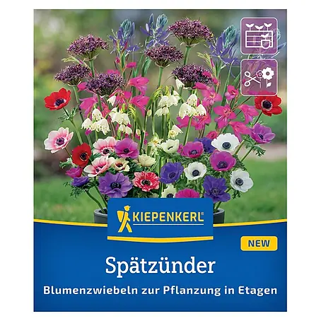Kiepenkerl Profi-Line Blumenmischung Spätzünder