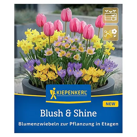 Kiepenkerl Profi-Line Blumenmischung Blush & Shine