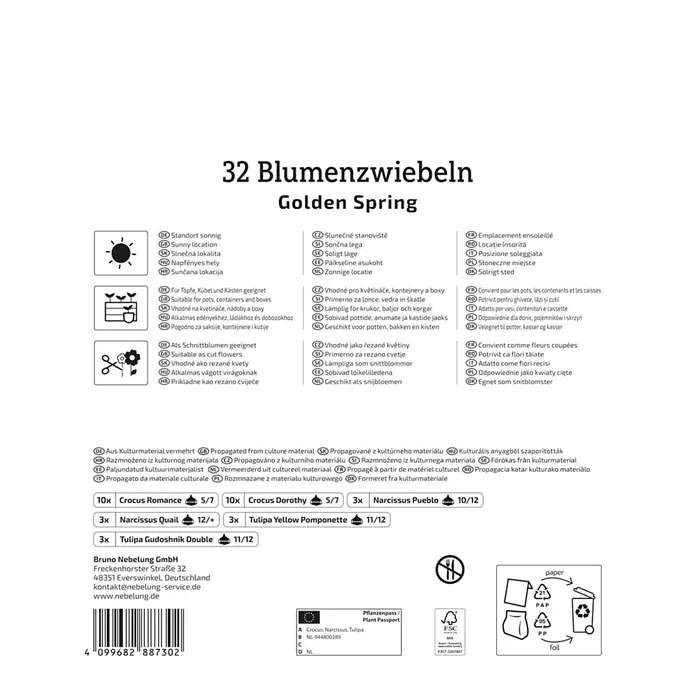 Kiepenkerl Profi-Line Blumenmischung Golden Spring - Crocus Romance, Crocus Dorothy, Narcissus Pueblo, Narcissus Quail, Tulipa Yellow Pomponette, Tulipa Gudoshnik Double, Topfgröße: 40 cm - Weiße Verpackung für 32 „Golden Spring“ Blumenzwiebeln, mit Sorten und mehrsprachigen Pflegehinweisen.