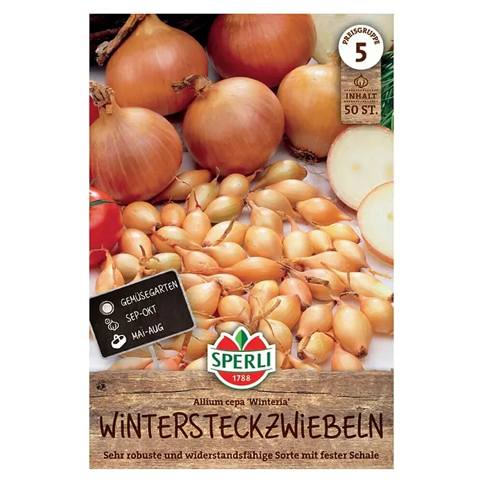 Sperli Steckzwiebeln Gelbe Wintersteckzwiebel Winteria - Allium cepa, 50 Stk. - Goldbraune Wintersteckzwiebeln auf Produktverpackung.